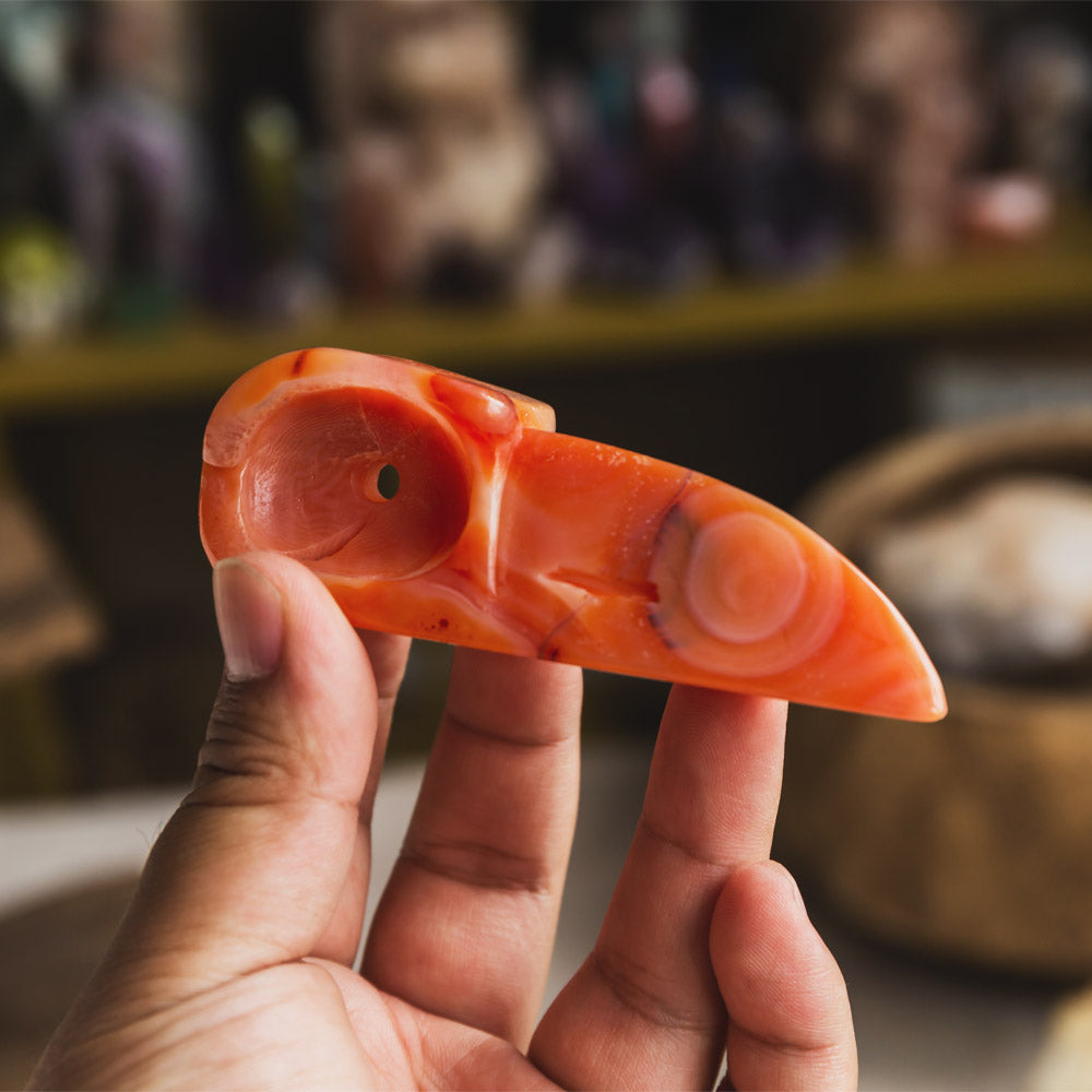 Carnelian Raven Skull