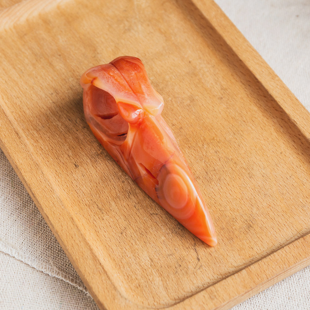 Carnelian Raven Skull