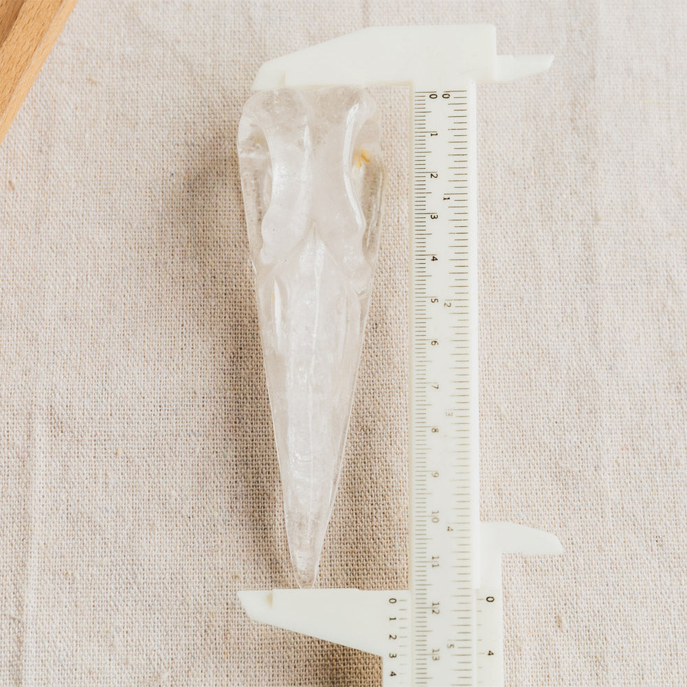 Clear Quartz Raven Skull