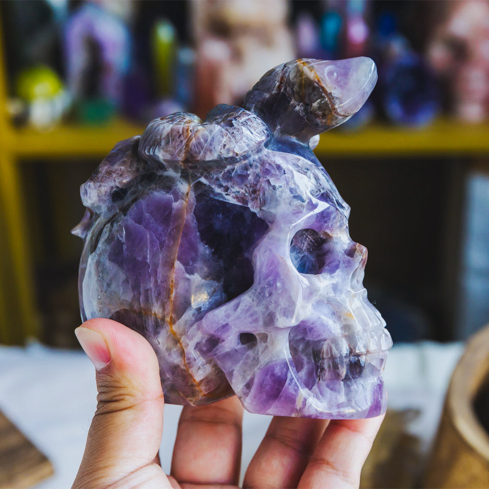 Dream Amethyst Skull With Snake