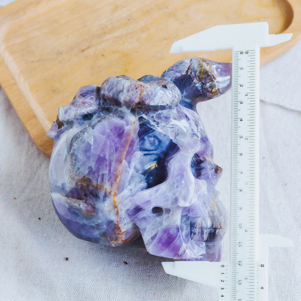 Dream Amethyst Skull With Snake