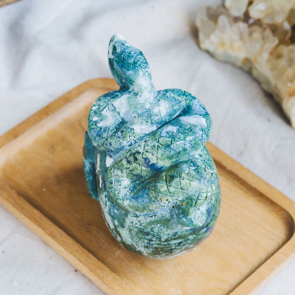 Moss Agate Skull With Snake