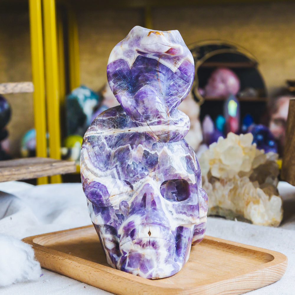 Dream Amethyst Skull With Cobra