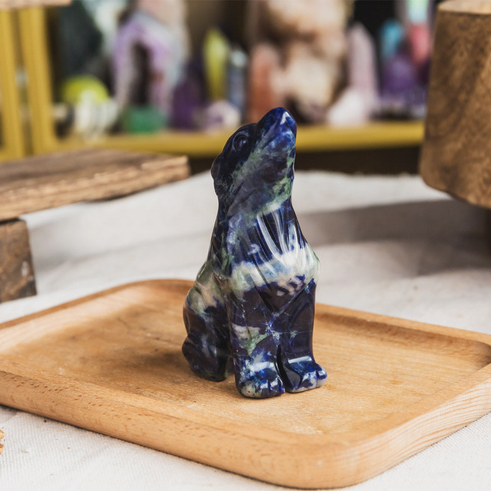 Sodalite Wolf