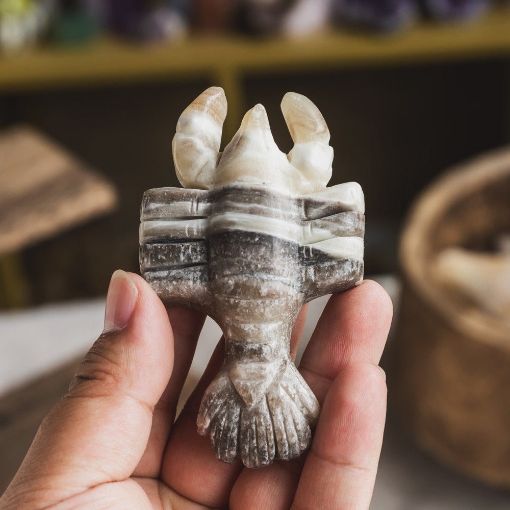 Zebra Calcite Lobster