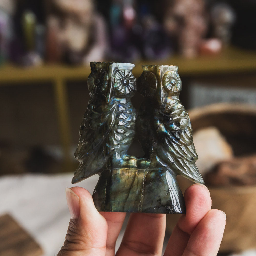 Labradorite Owl