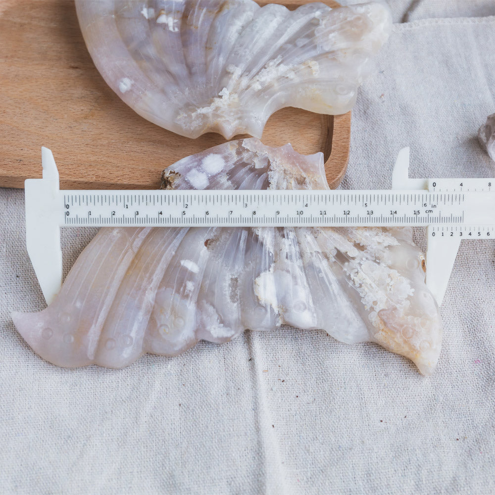 Flower Agate Wing