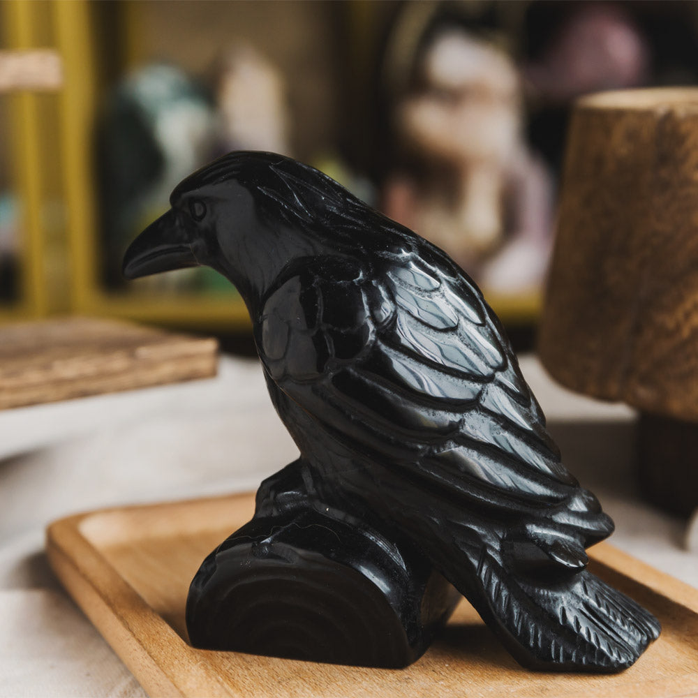 Black Obsidian Crow