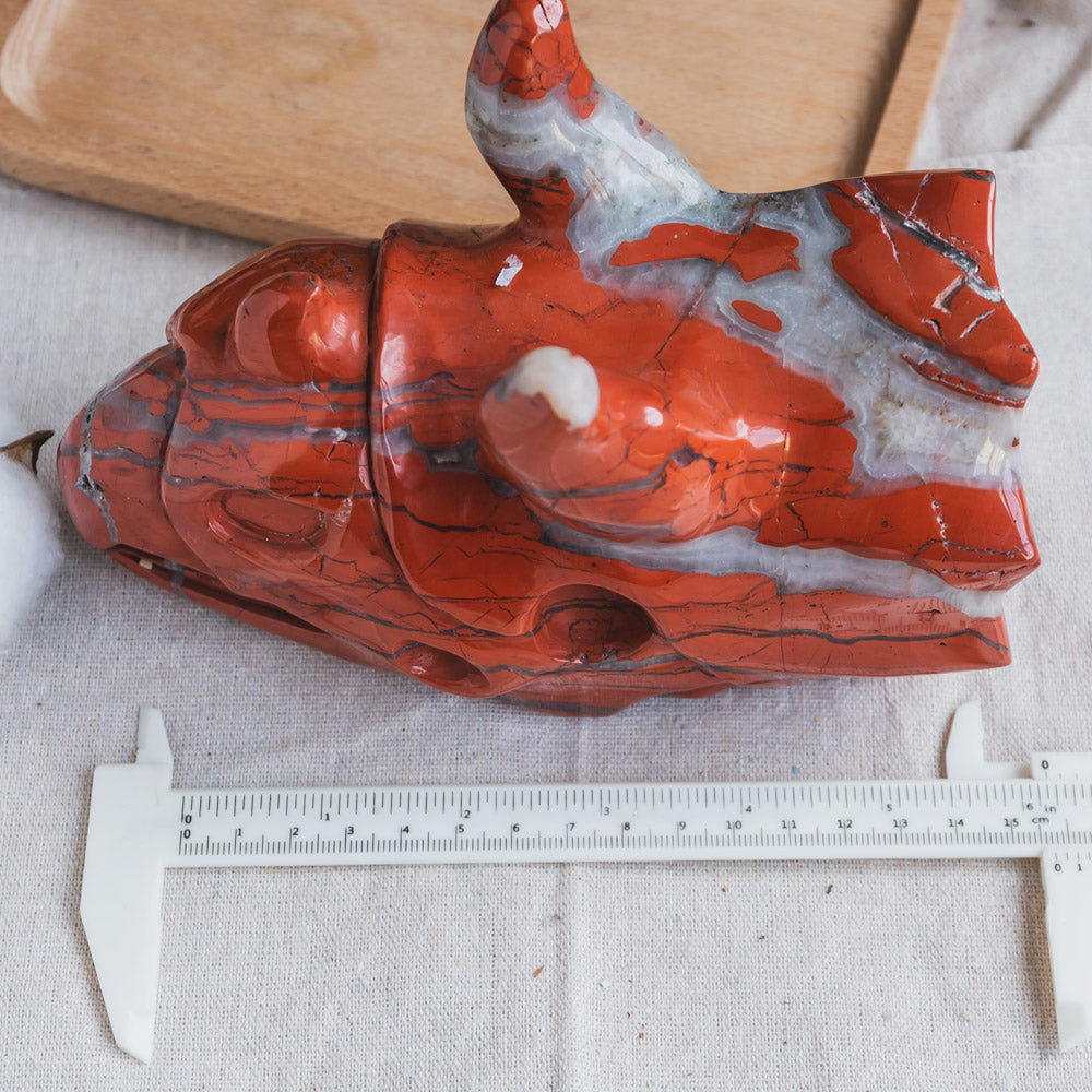 Red Jasper Triceratops Head