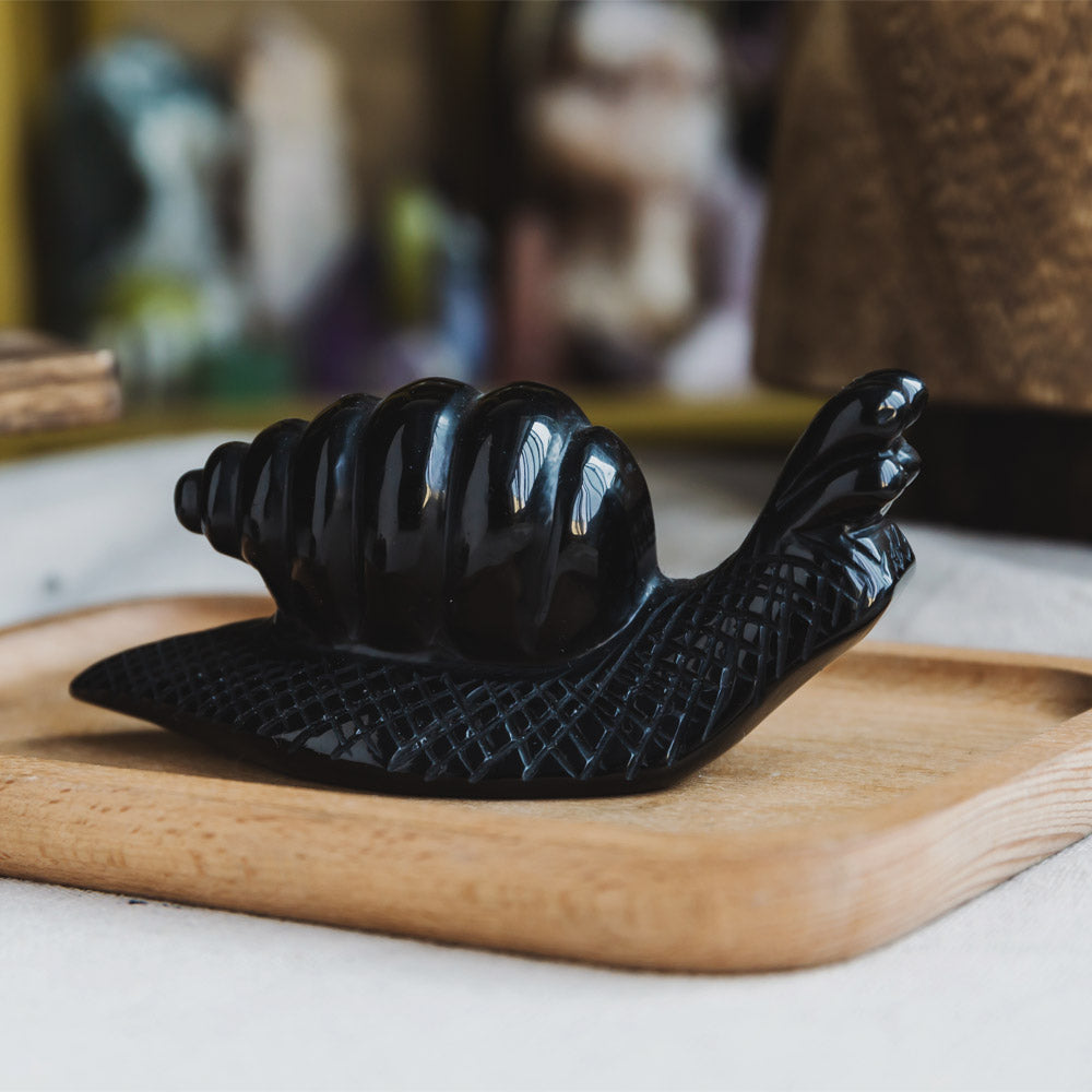 Black Obsidian Snail