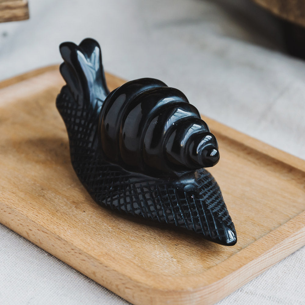 Black Obsidian Snail