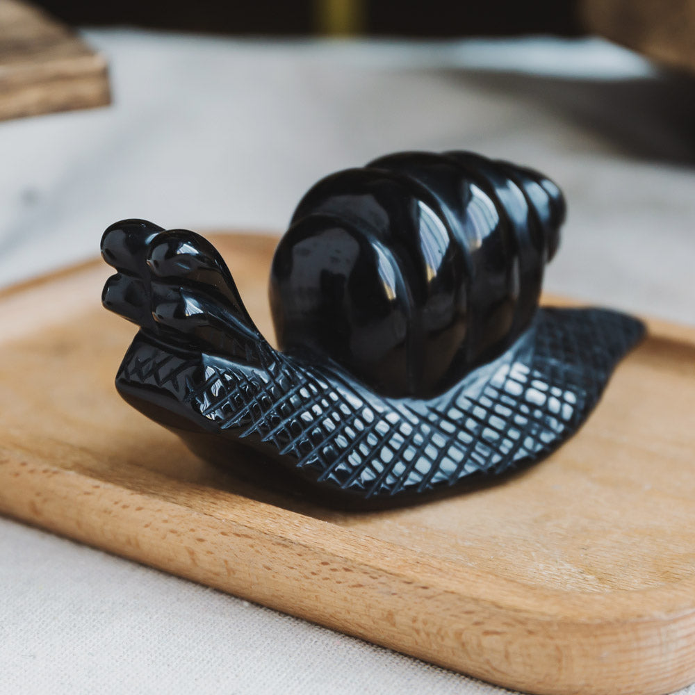 Black Obsidian Snail