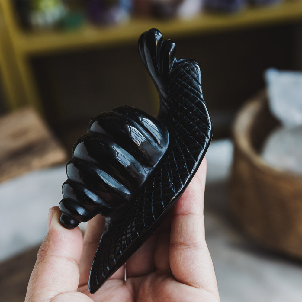 Black Obsidian Snail