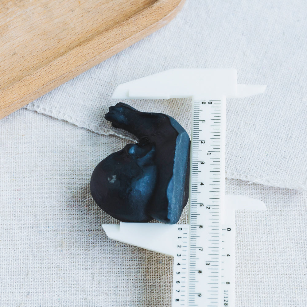 Black Obsidian Snail