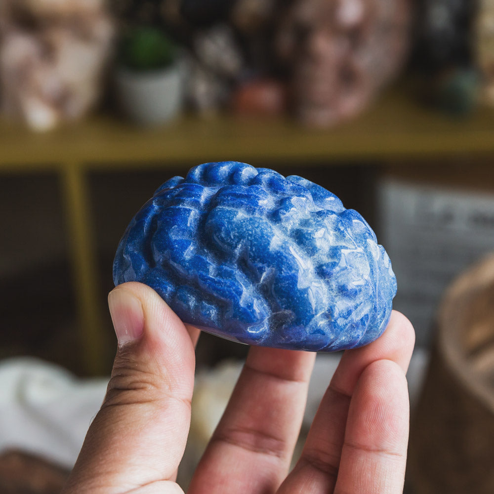 Blue Aventurine Human Brain