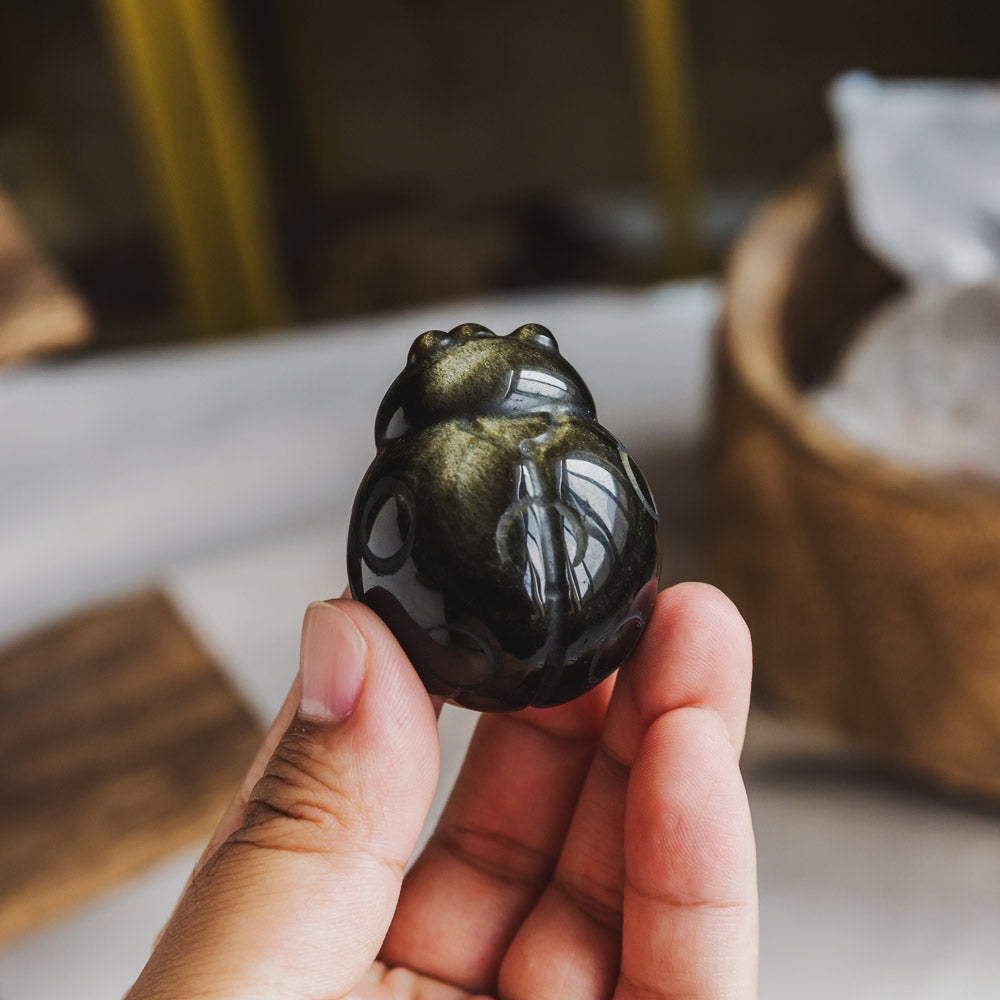 Golden Sheen Obsidian Beetle