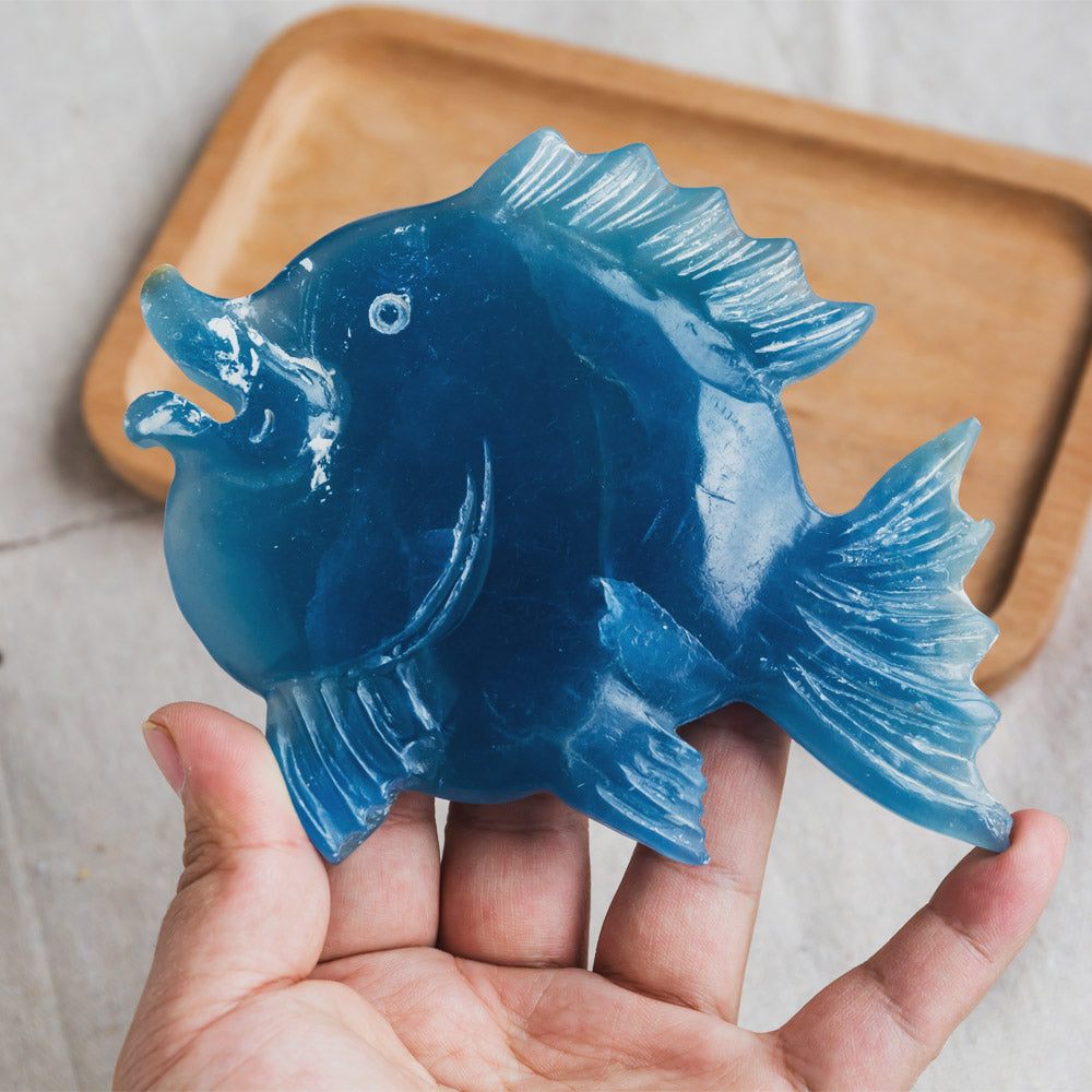 Blue Onyx Fish