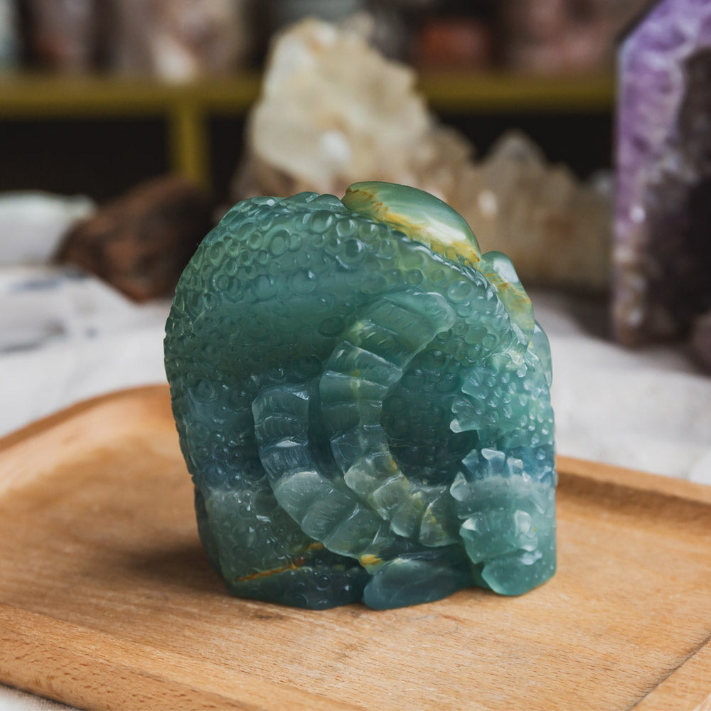 Blue Onyx Octopus