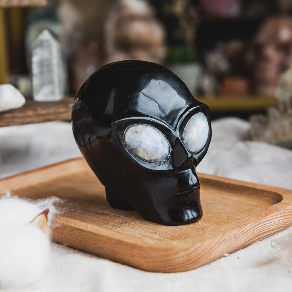 Obsidian Alien Skull