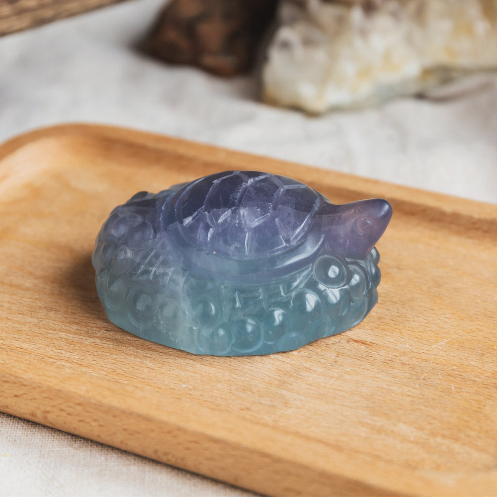 Fluorite Turtle