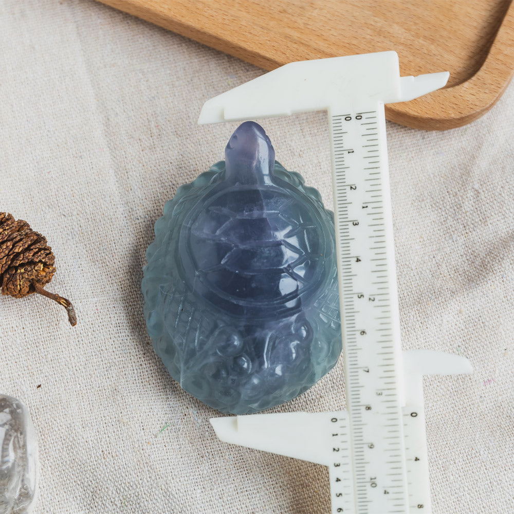 Fluorite Turtle