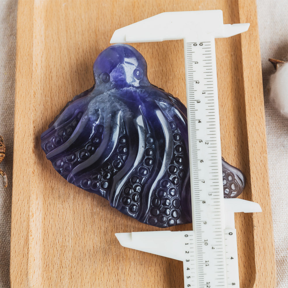 Fluorite Octopus