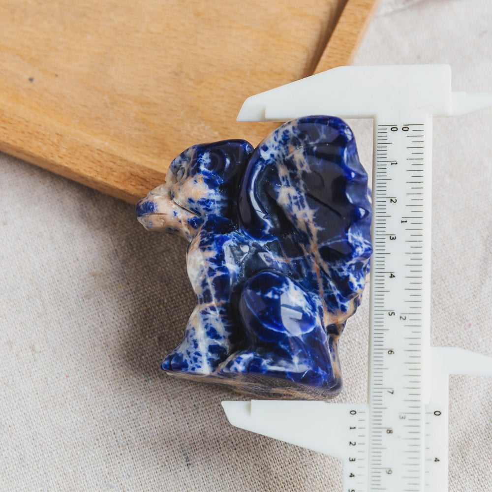 Sodalite Gargoyle