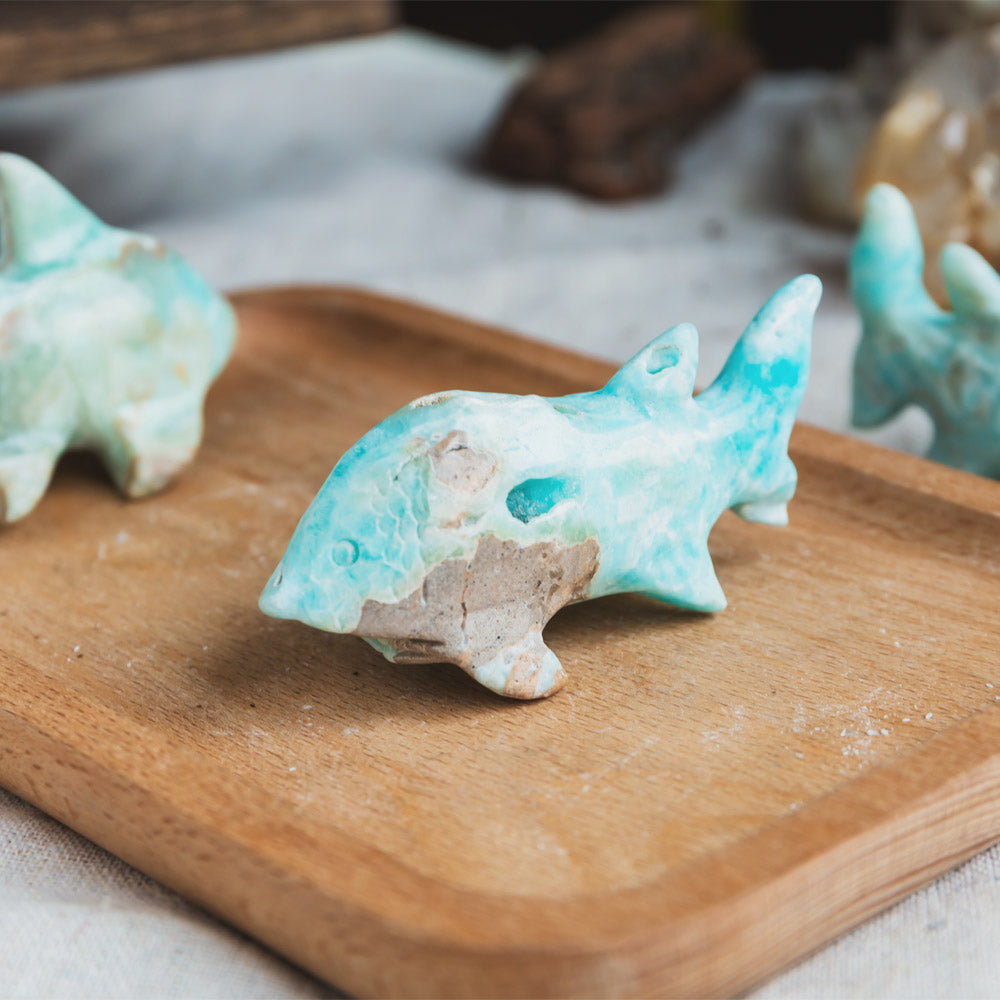 Blue Aragonite Shark