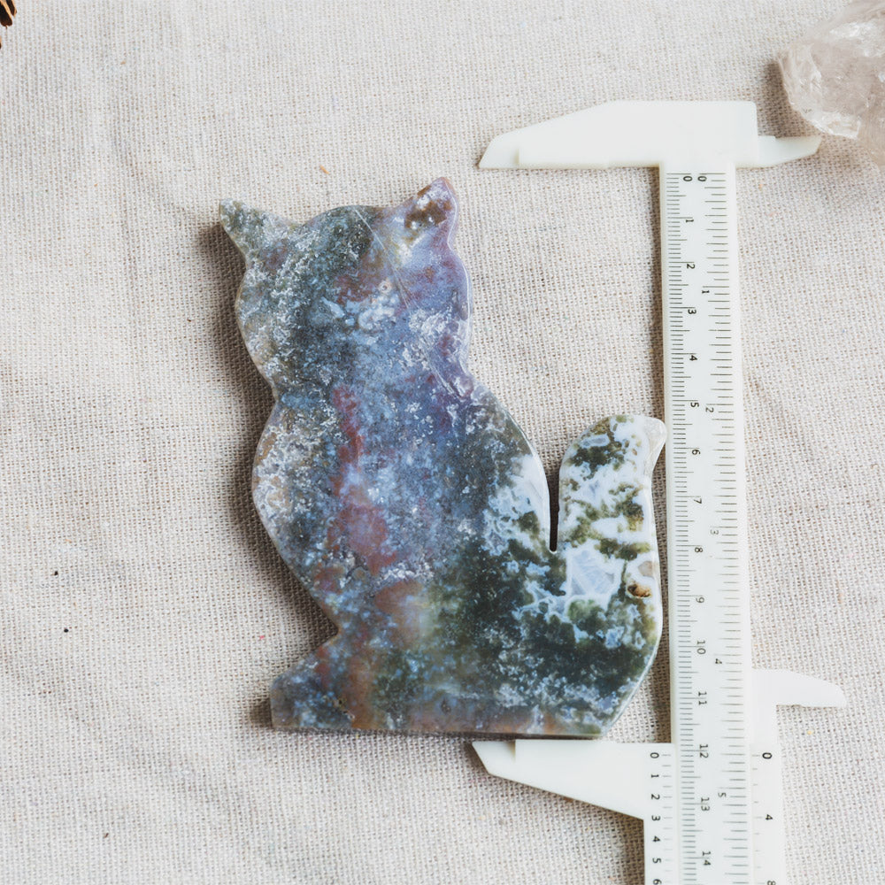 Ocean Jasper Cat Slice