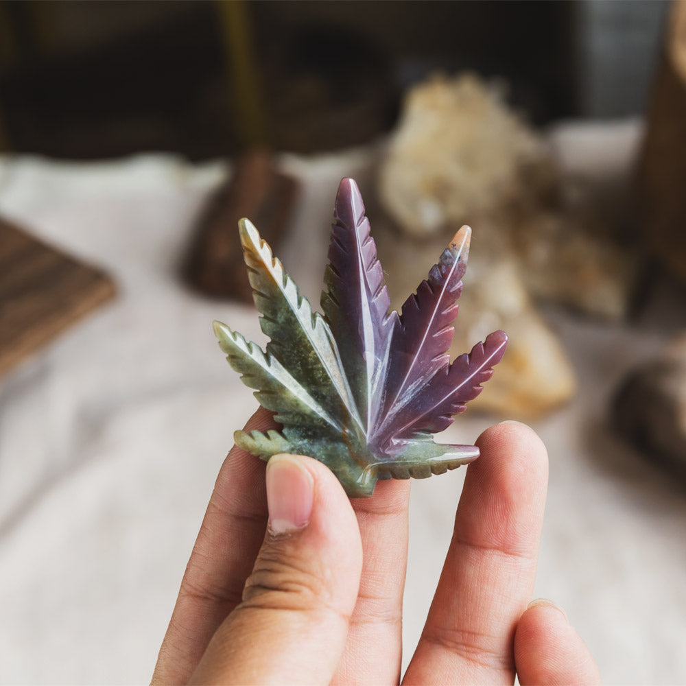 Ocean Jasper leaf