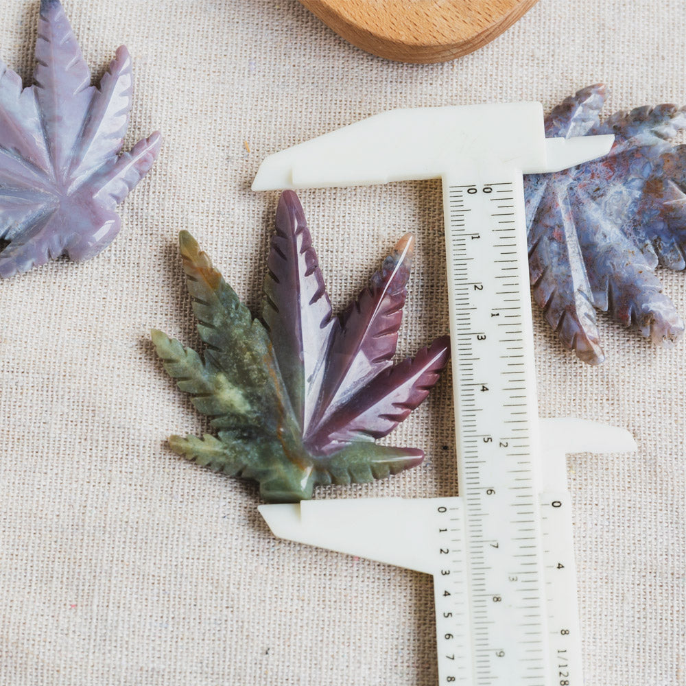 Ocean Jasper leaf