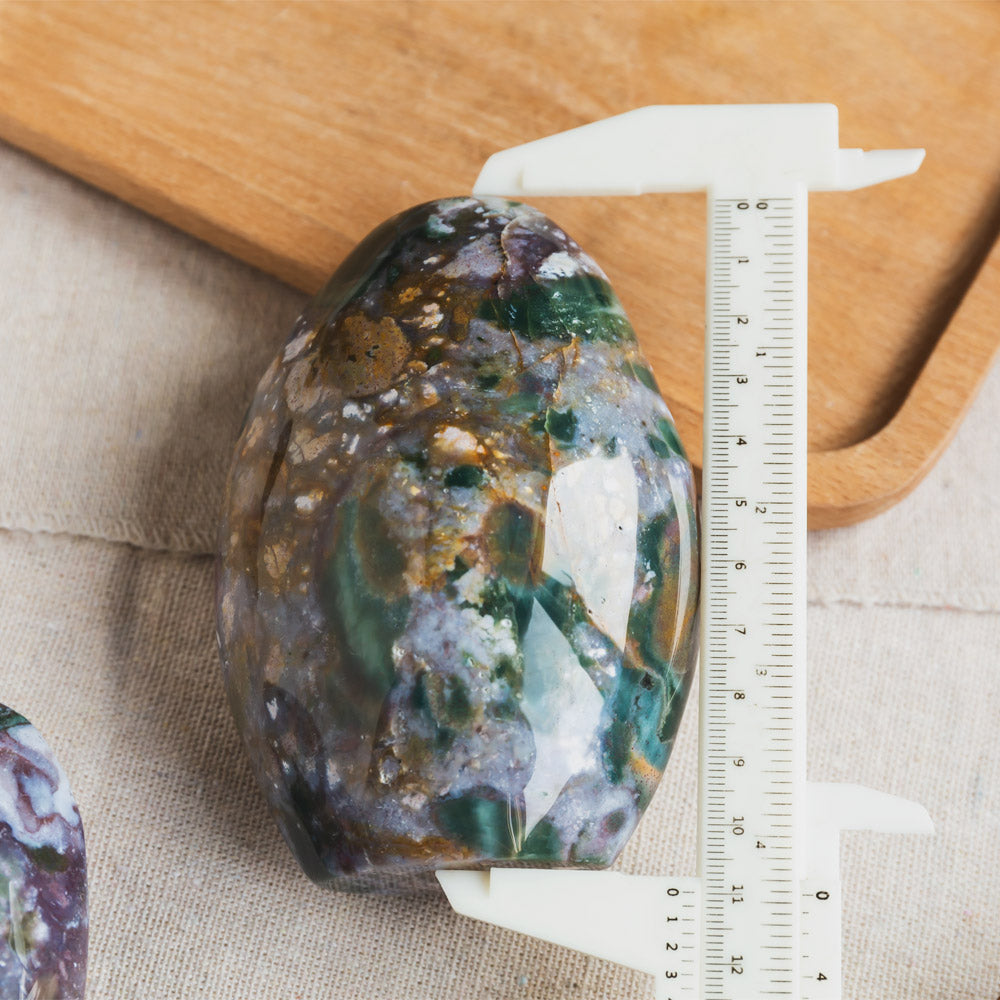 Ocean Jasper Dinosaur Egg