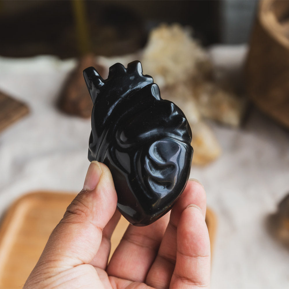 Black Obsidian Human Heart