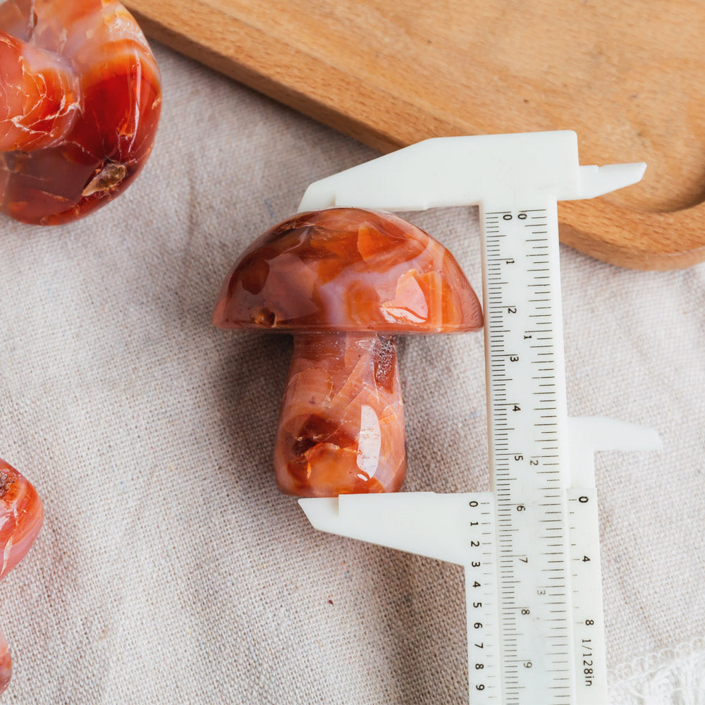 Carnelian Mushroom