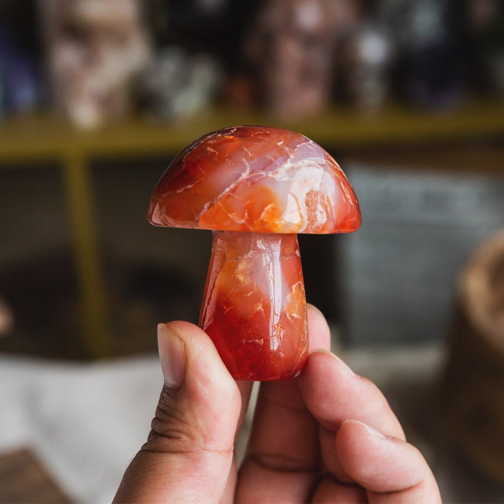 Carnelian Mushroom