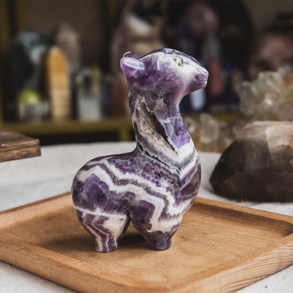 Dream Amethyst Llama