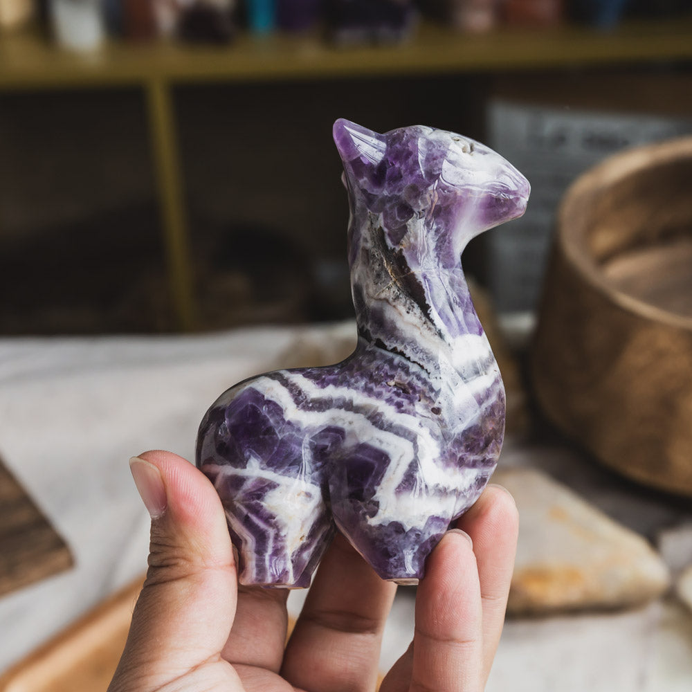 Dream Amethyst Llama