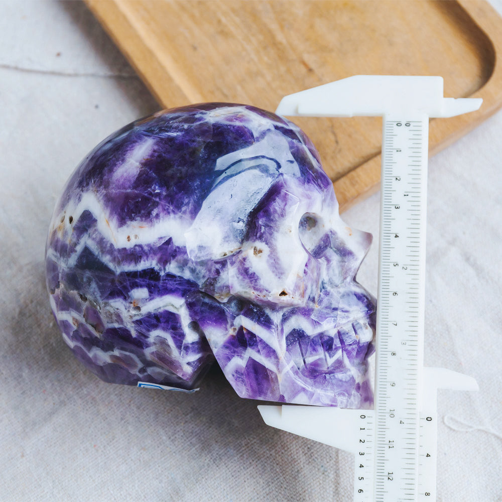 4" Dream Amethyst Skull