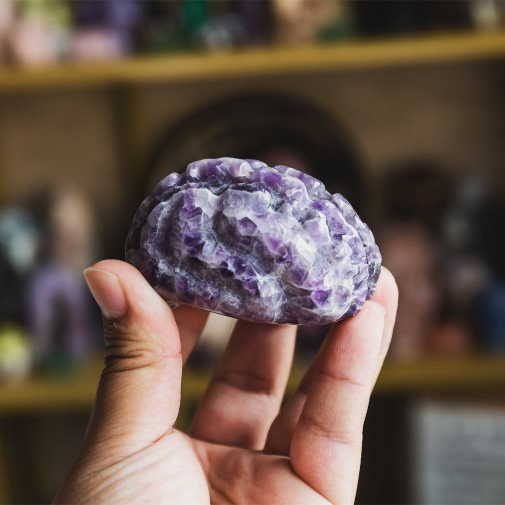 Dream Amethyst Brain