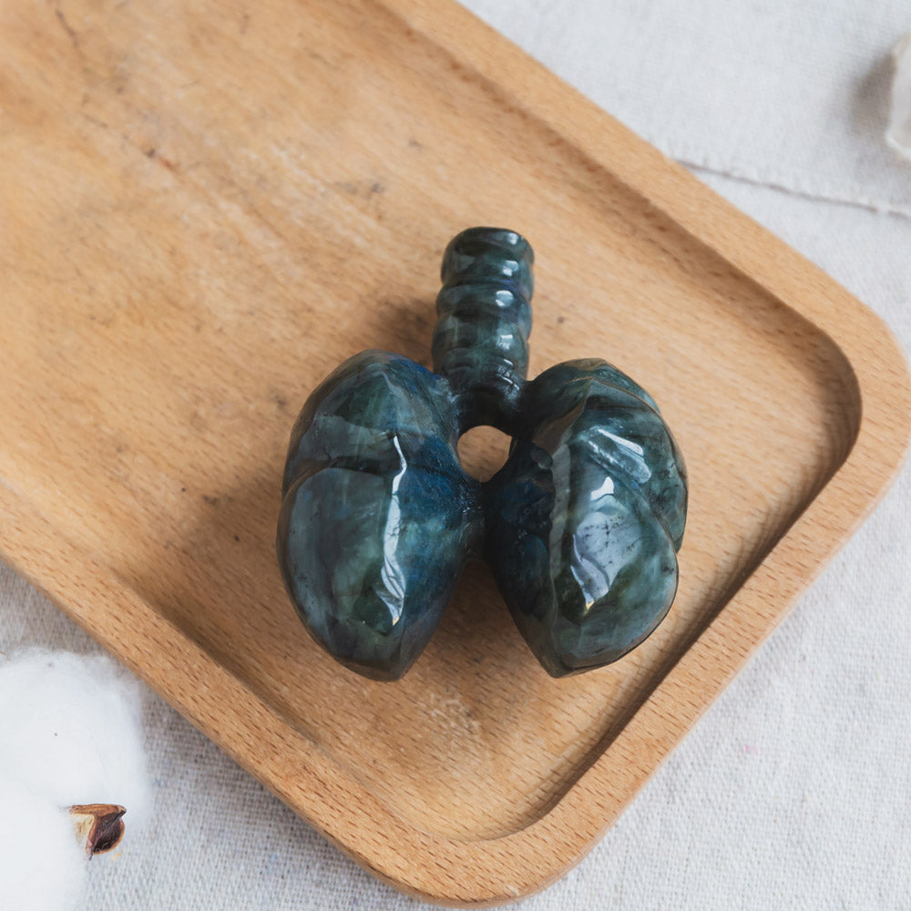 Labradorite Human Lung