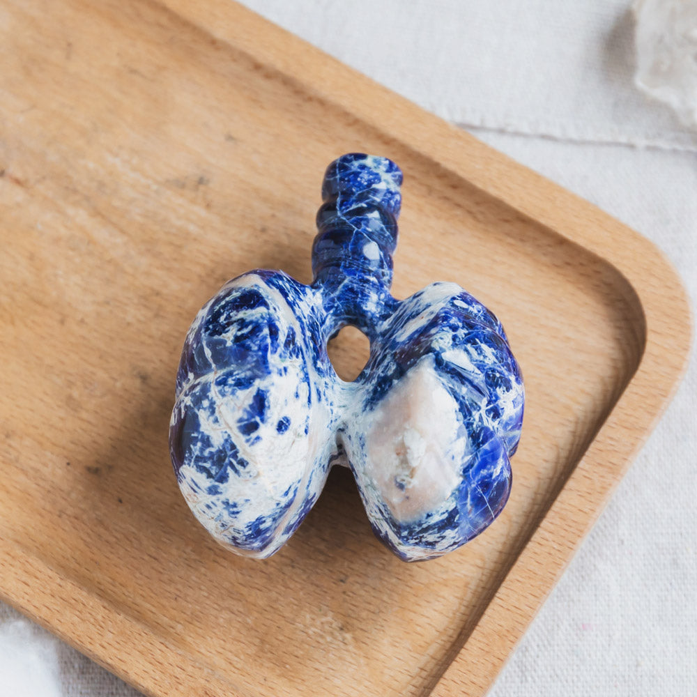 Sodalite Human Lung