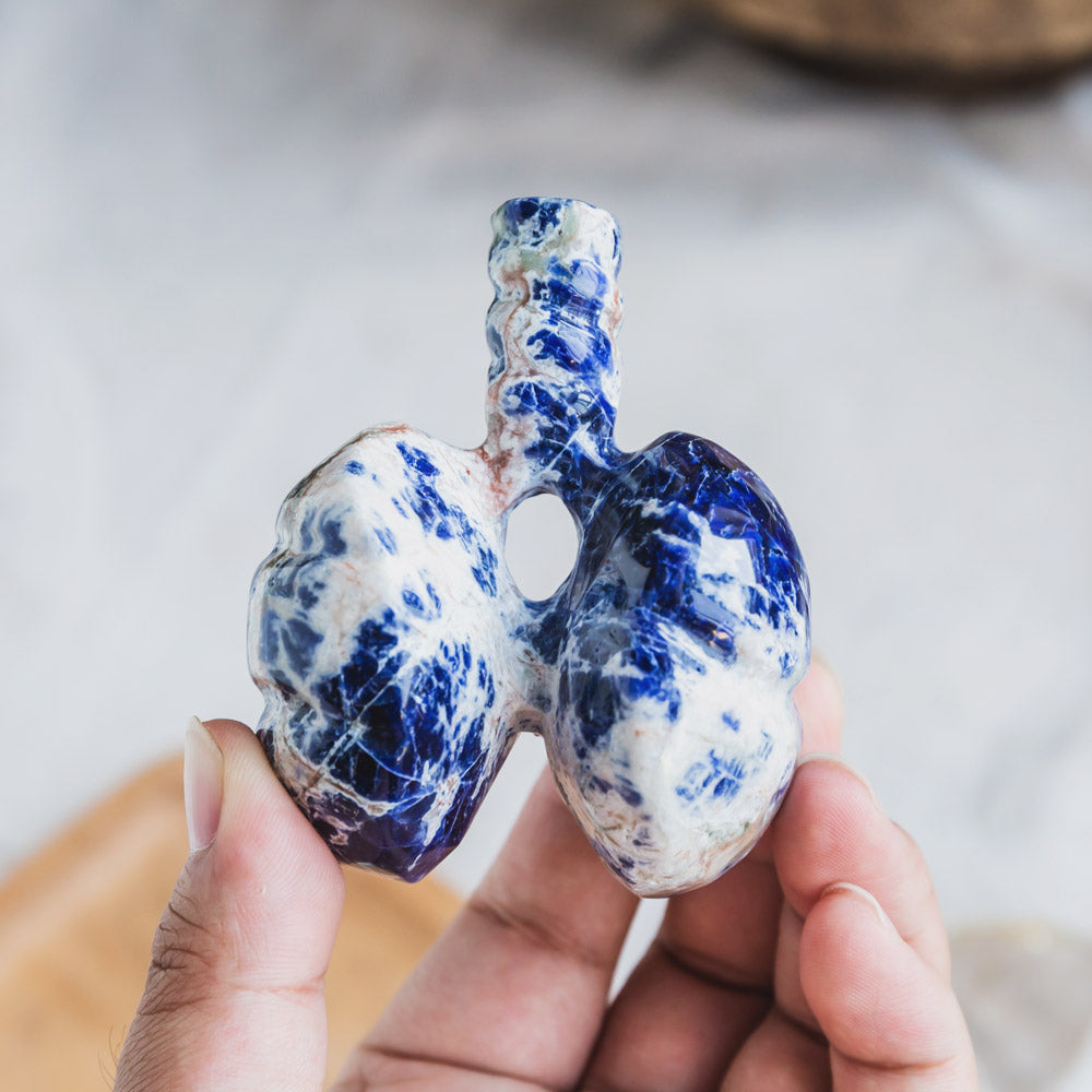 Sodalite Human Lung