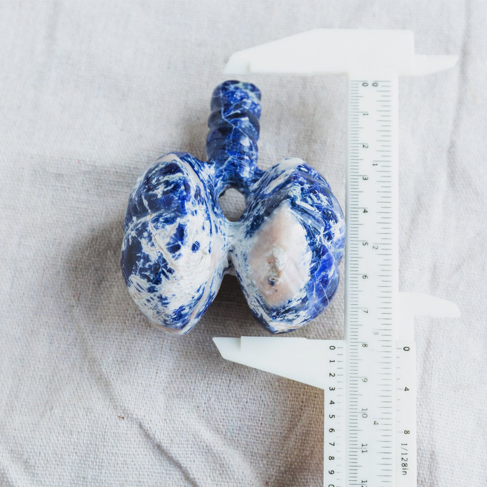 Sodalite Human Lung