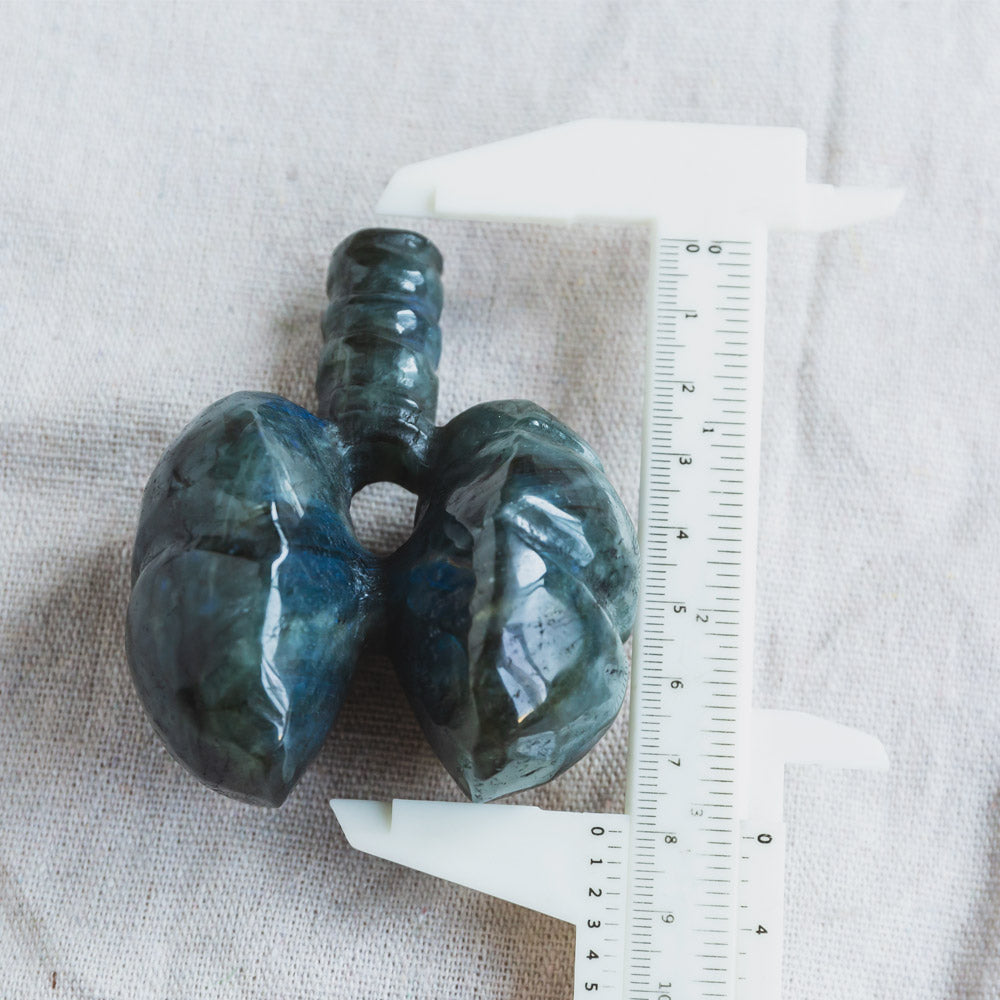 Labradorite Human Lung