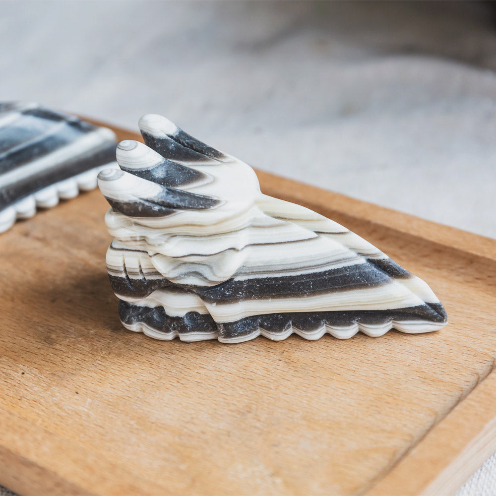 Zebra Calcite Bird Head