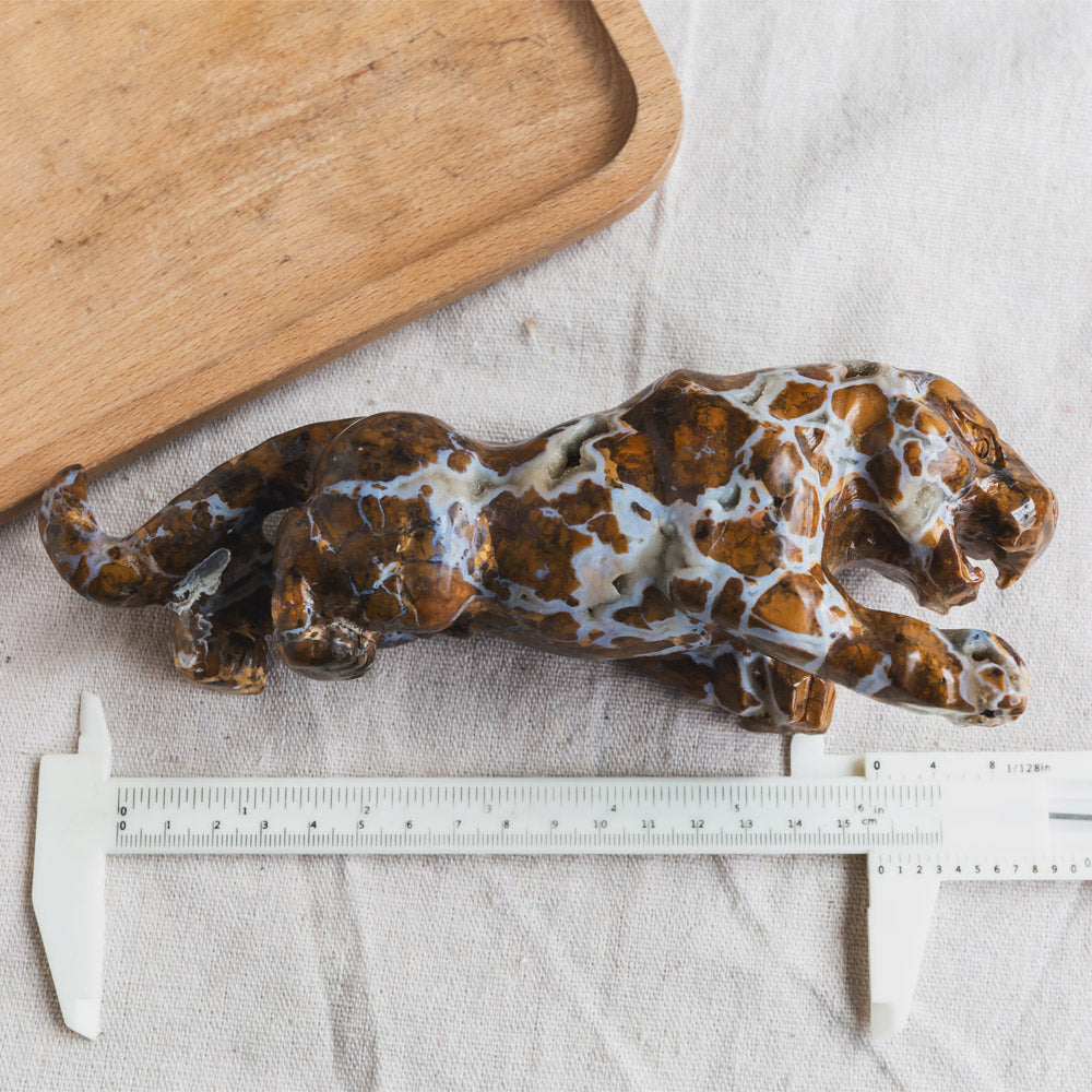 Ocean Jasper Leopard