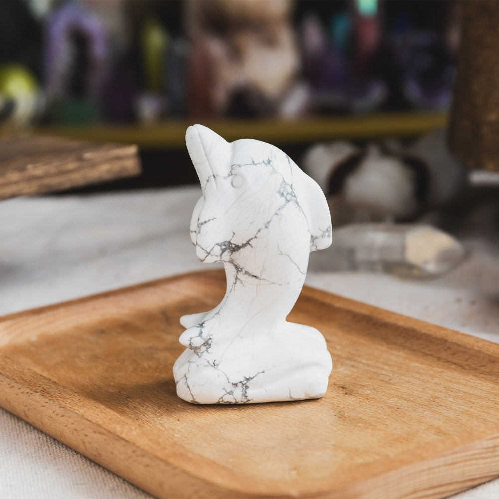 Howlite Dolphin