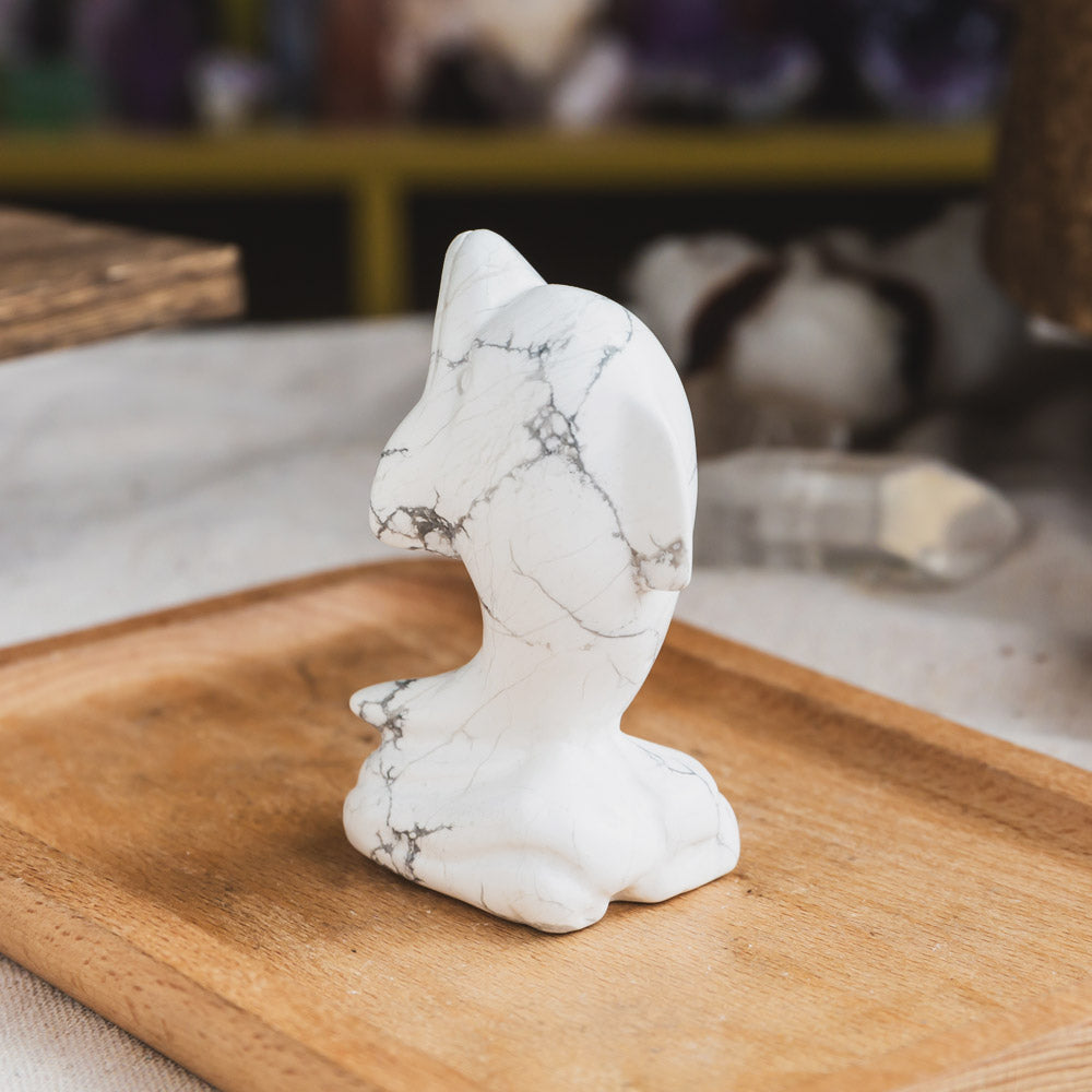 Howlite Dolphin