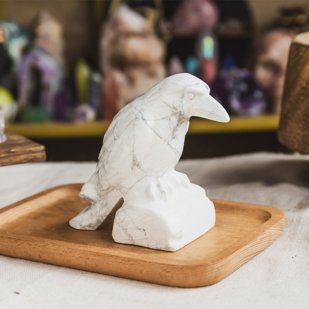 Howlite Crow