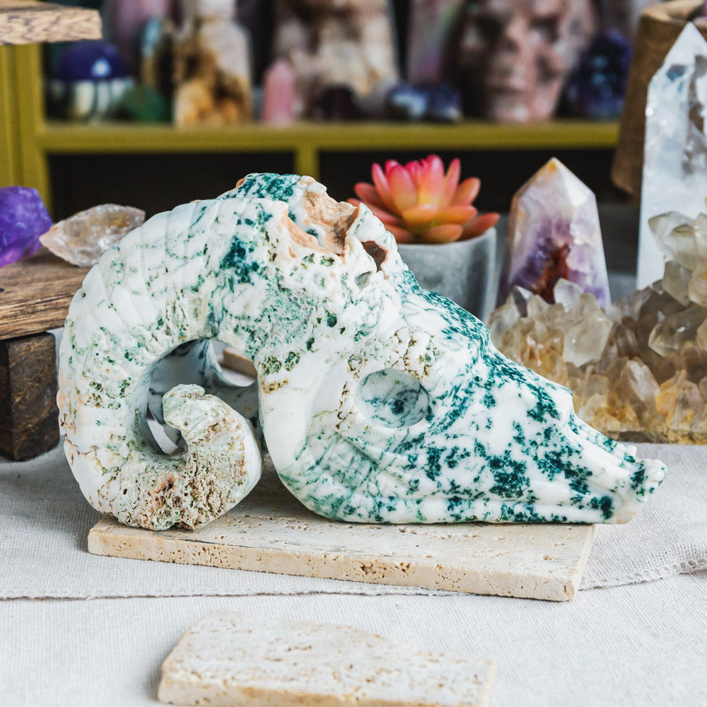 Tree Agate Sheep Head